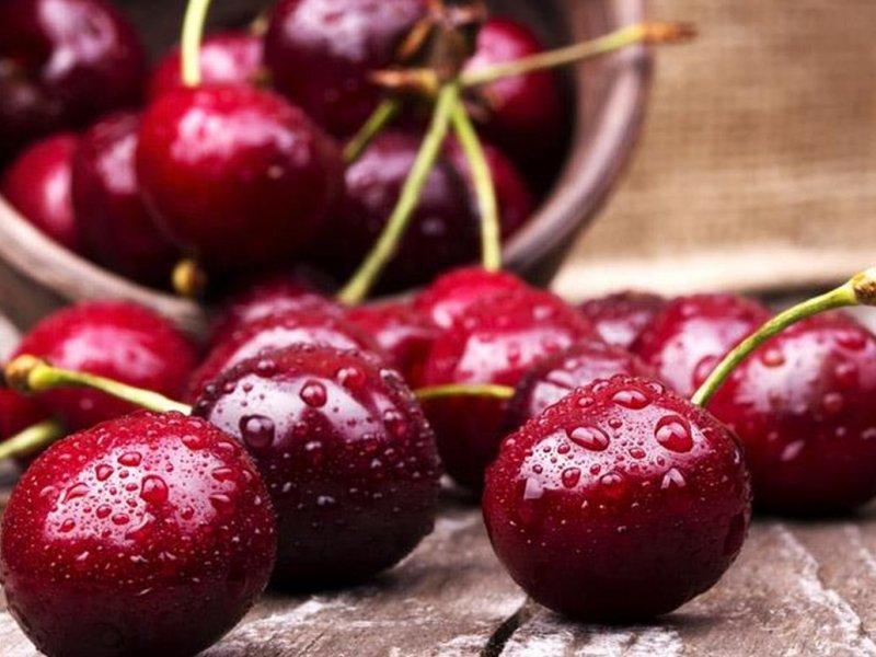 Вишня купить саженцы из питомника в Абакане